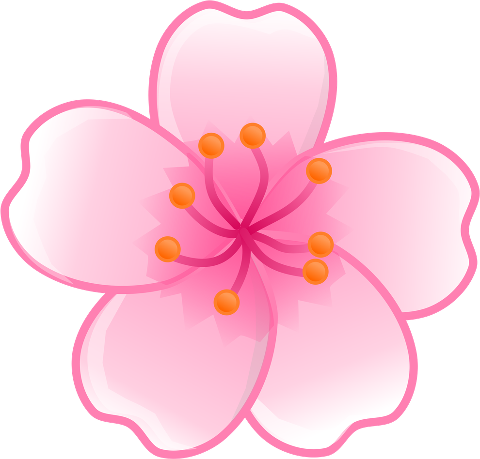 Japanese Blossom Flower Clipart Transparent Png (black, pink)