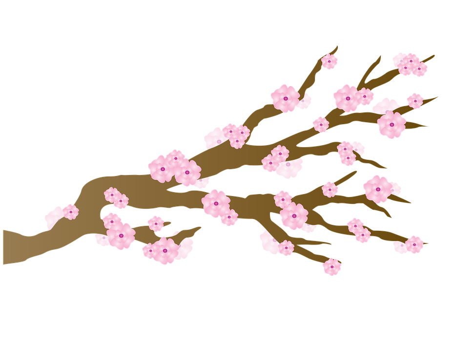 Japanese Flowering Cherry Png Hd (black, gray, olive, pink)