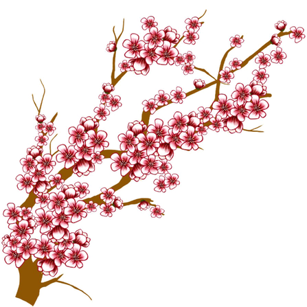 Japanese Flowering Cherry Transparent Background (black, white, olive)