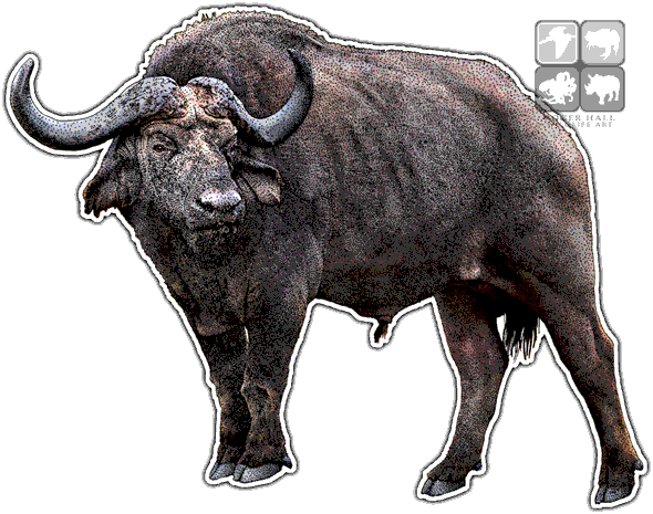 Cape Buffalo Png Clipart (white, black, silver, lavender)