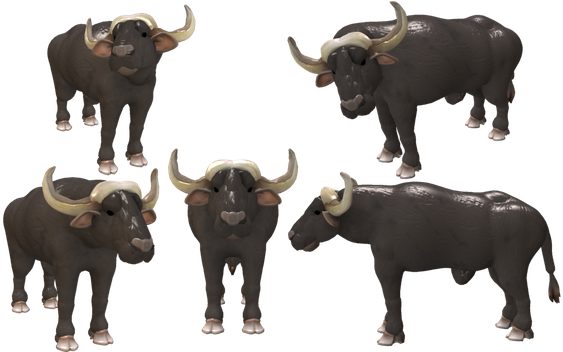 Cape Buffalo Transparent Background (black)