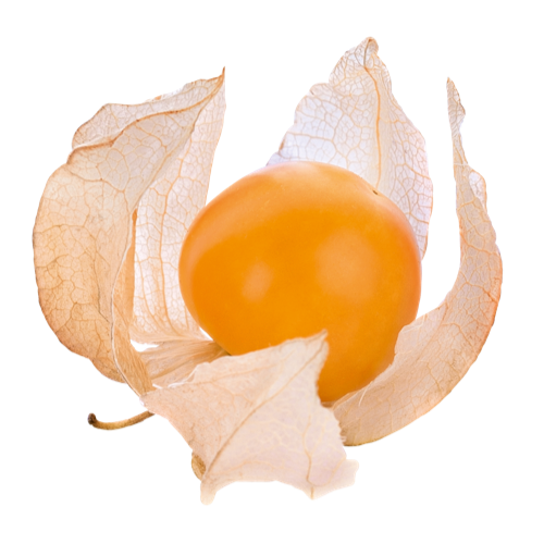 Cape Gooseberry Png Hd (black, orange)