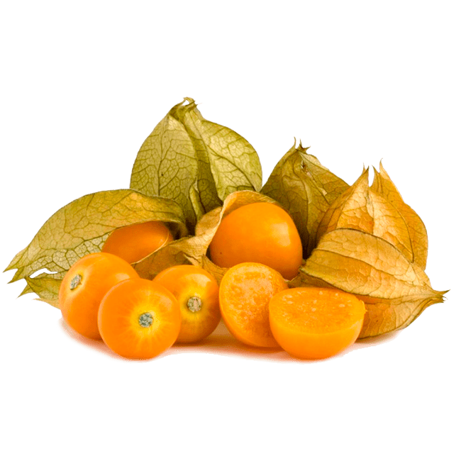 Cape Gooseberry Png Image (gray, orange)