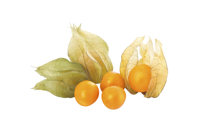 Cape Gooseberry Png (black, orange, beige, chocolate)