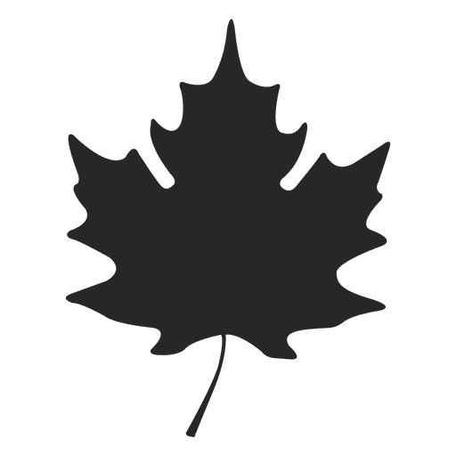 Maple Leaf Png Image (gray, black)