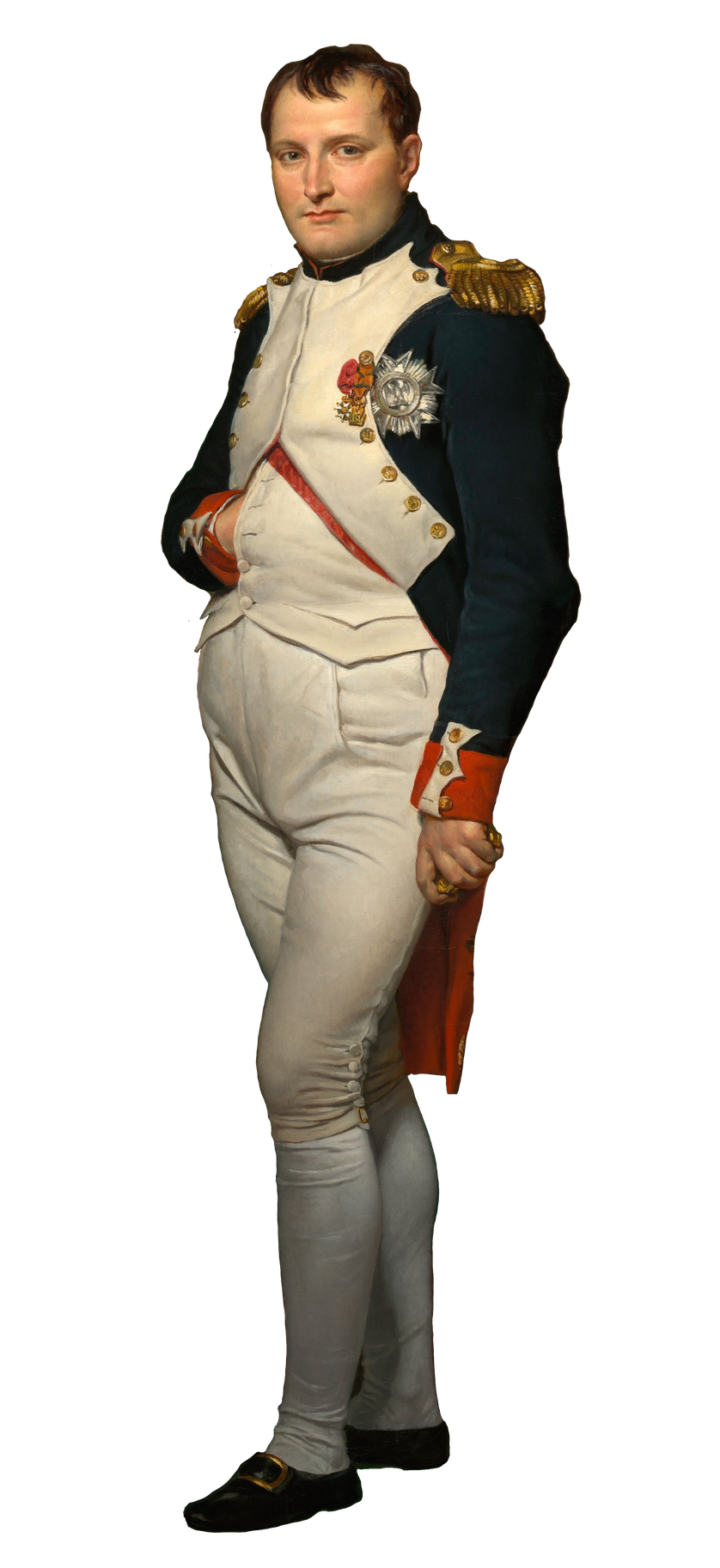 Napoleon Bonaparte Png Isolated File (silver, black)