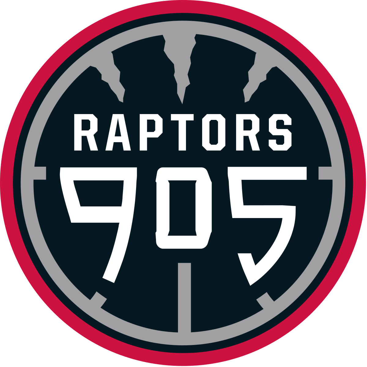 Raptors 905 Png (silver, red, black, white)