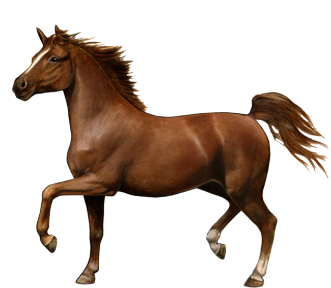 War Horse Png Hd Isolated (silver, beige, white)