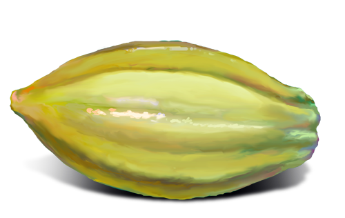 Carambola Png Isolated Hd (black, salmon, silver, mint)