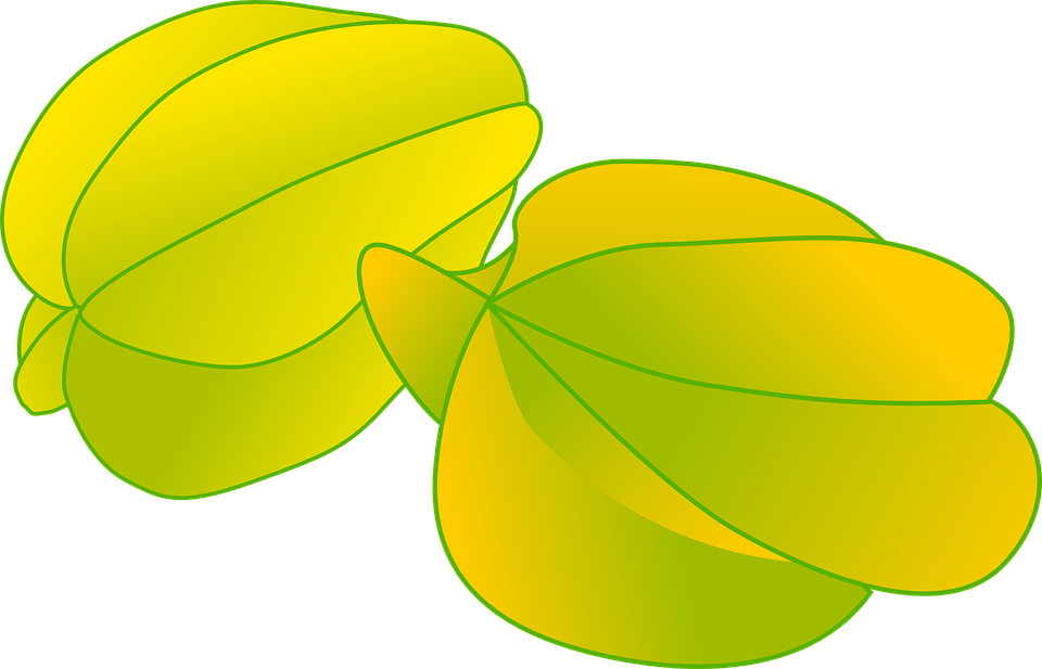 Carambola Png Photo (black, olive, gold)