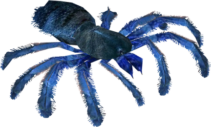 Tarantula Png Hd Isolated (black)