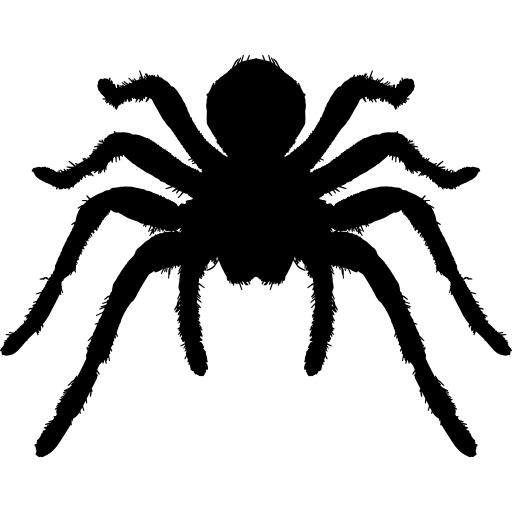 Tarantula Png Isolated Hd (black, white)