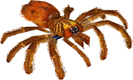 Tarantula Png Pic (maroon, black)