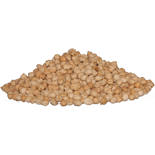 Garbanzo Beans Png File (black, salmon)