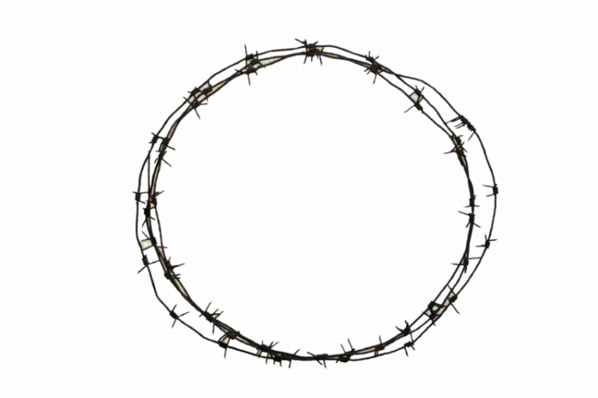 Barbed Wire Png Image Hd (black)