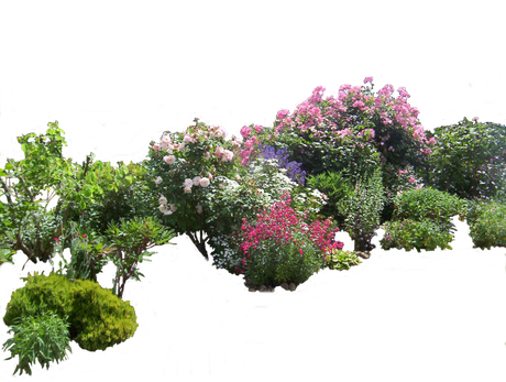 Garden Png File (black)