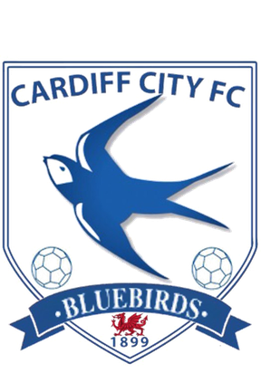 Cardiff City F C Transparent Png (teal, black, white, gray, lavender)