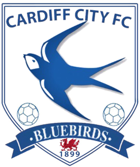 Cardiff City F.C Png (silver, teal, black, white, gray)