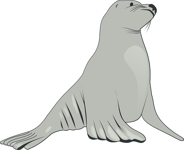 Eared Seals Png File (silver, white)