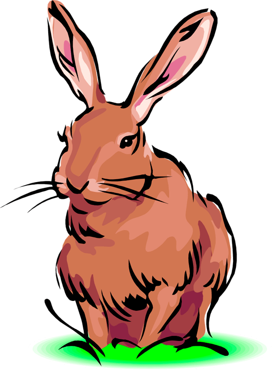 Hares Png Clipart (lime, salmon, chocolate, gray, black)