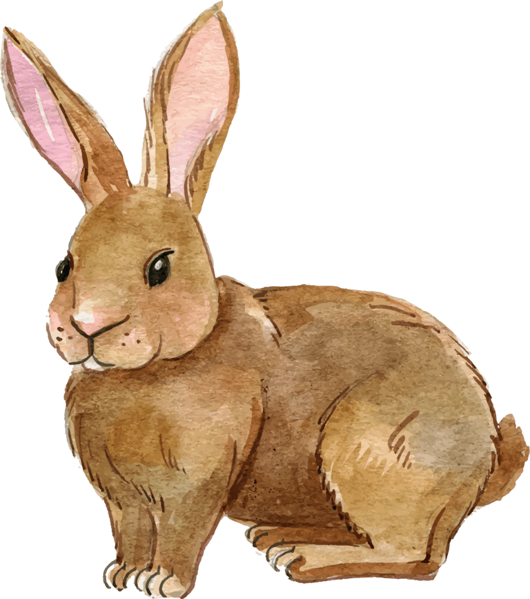 Hares Png Free Download (gray)