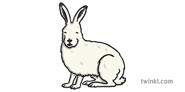 Hares Png Pic (beige, gray, white)