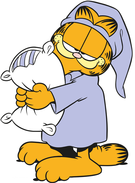 Garfield Cartoon Png Photo (black, white, silver, orange)