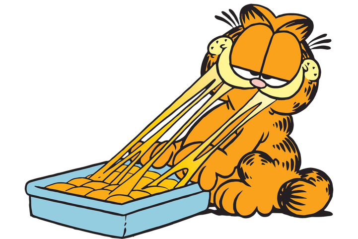 Garfield Png Photo (black, silver, orange)