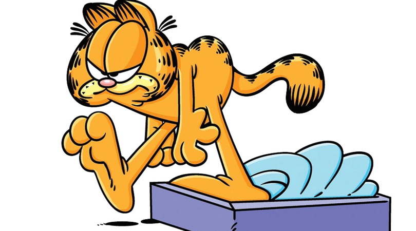 Garfield Png Photos (black, gray, mint, orange)