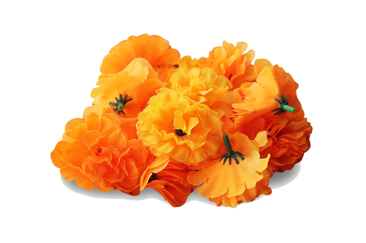 Marigold Flower Png Pic (chocolate, orange, white)