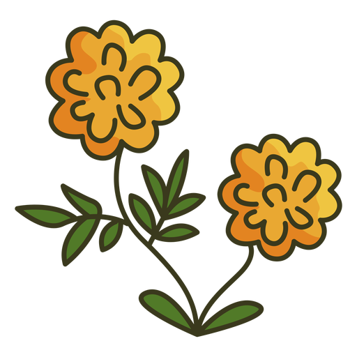 Marigold Png Picture (chocolate, olive, gold, orange, black)