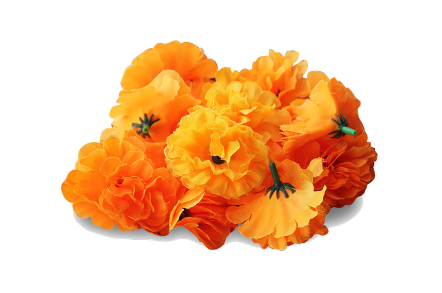 Marigold Png Transparent Image (gray, black, orange)