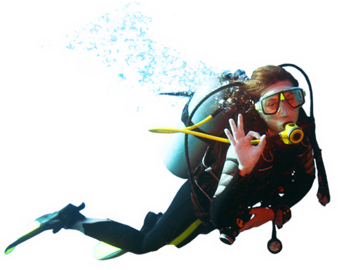 Marine Diver Png Clipart (mint, teal, white)