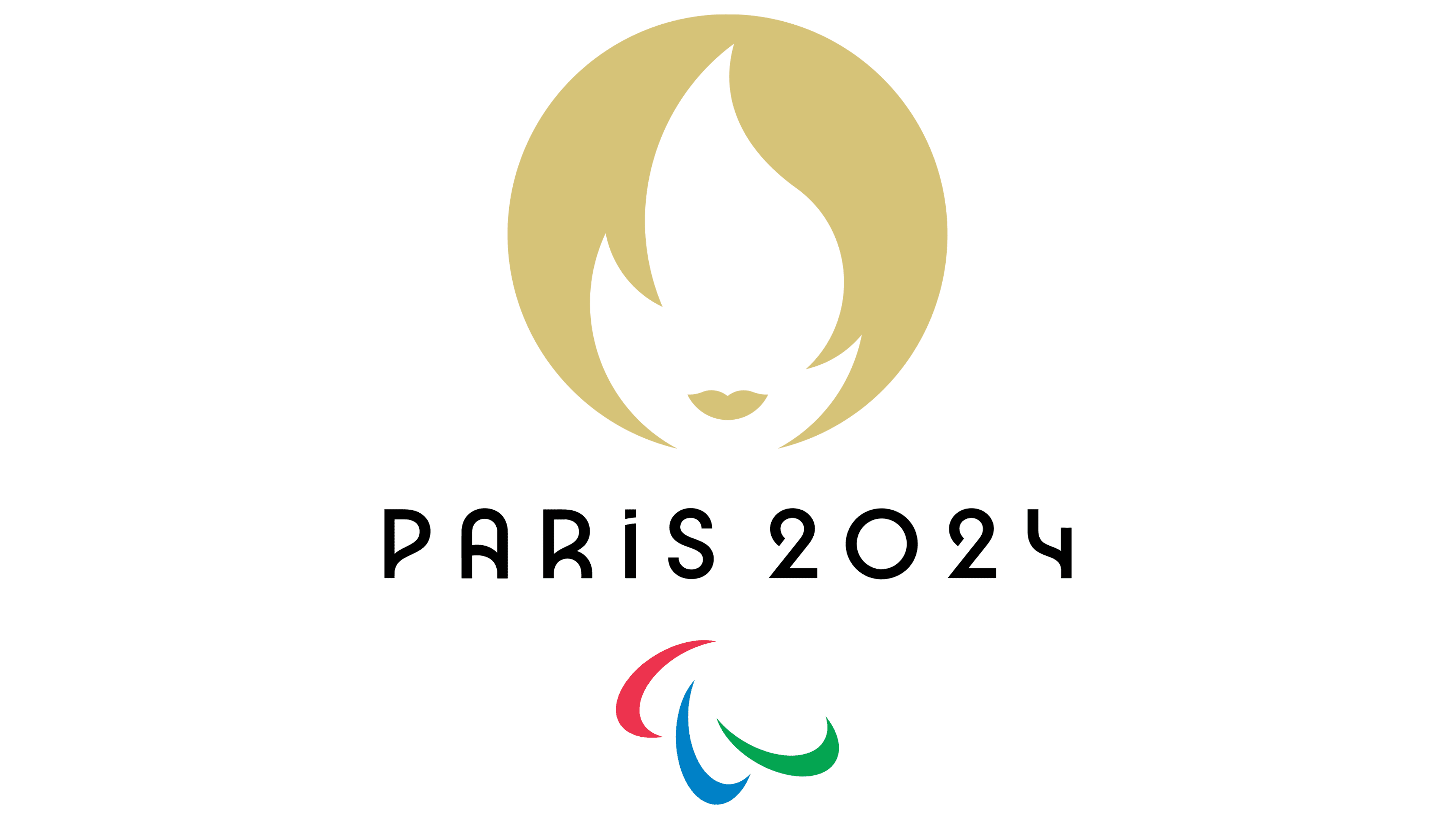 Paris 2024 Summer Olympics Logo Png (silver, gray)