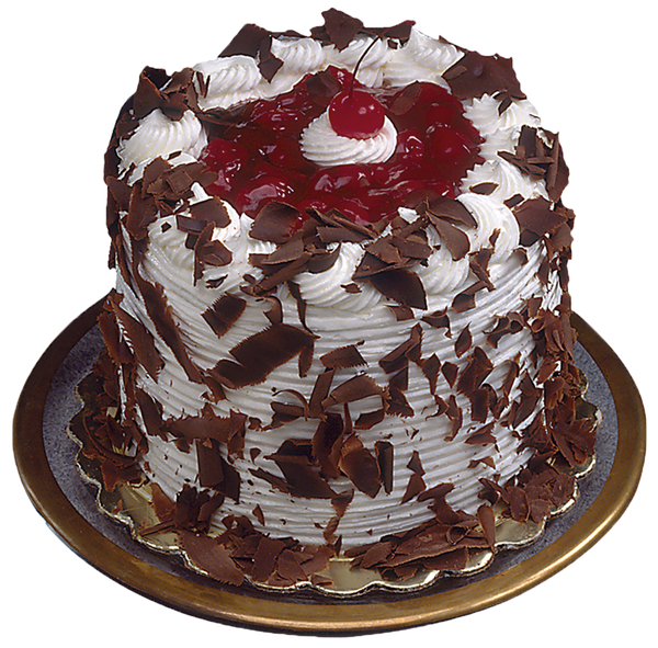 Dark Chocolate Cake Png Image (gray, black, maroon)