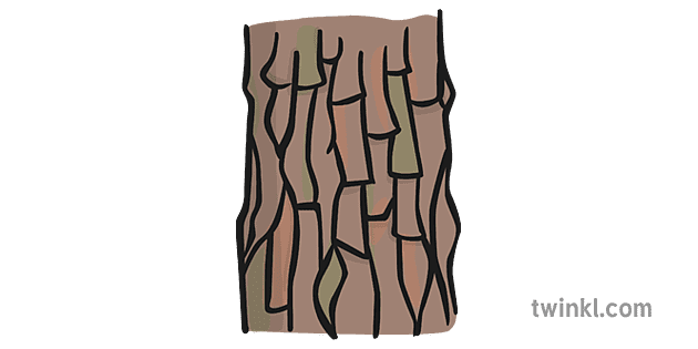 Bark Png Image (gray)