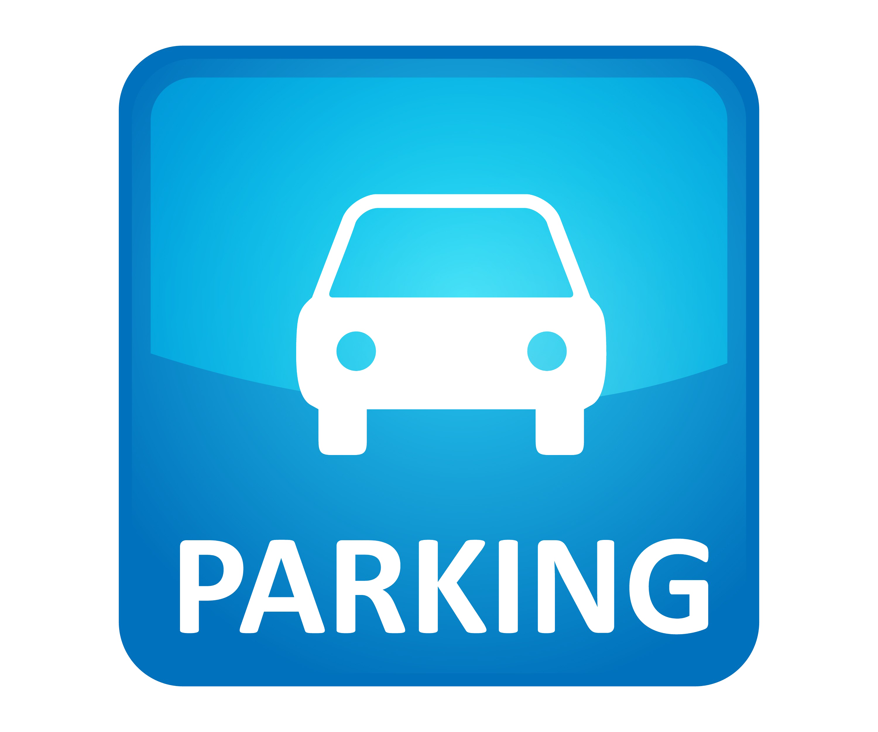 Parking Only Sign (teal, white, silver)