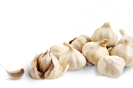 Garlic Png Clipart (black, beige, white)