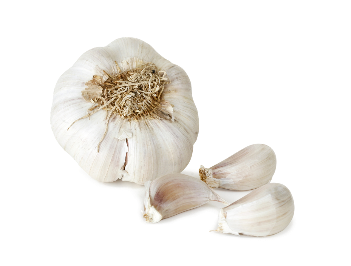 Garlic Png File (black, beige, white)