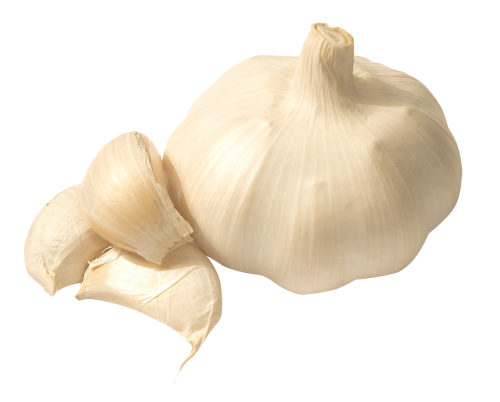 Garlic Png Free Download (black, beige)