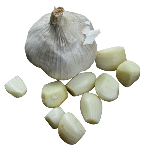 Garlic Png Pic (black, silver)