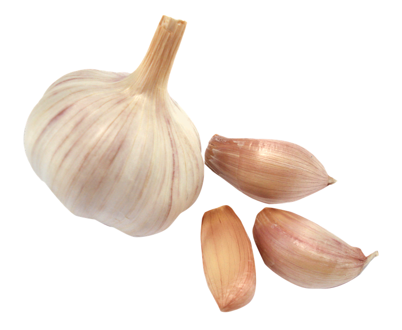 Garlic Png Picture 1 (beige, black, silver, pink)