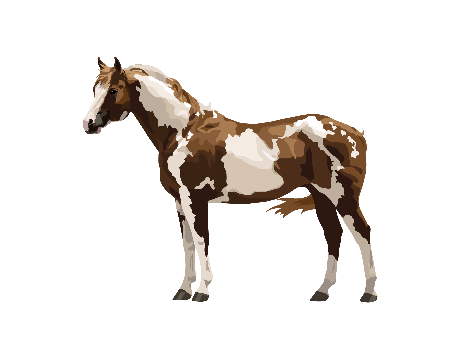 Farm Arabian Horse Png Transparent Image (black, silver, gray)