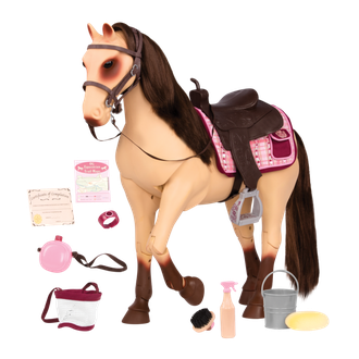 Farm Morgan Horse Png Image (pink, black)