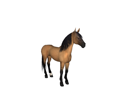 Farm Morgan Horse Transparent Png (black)