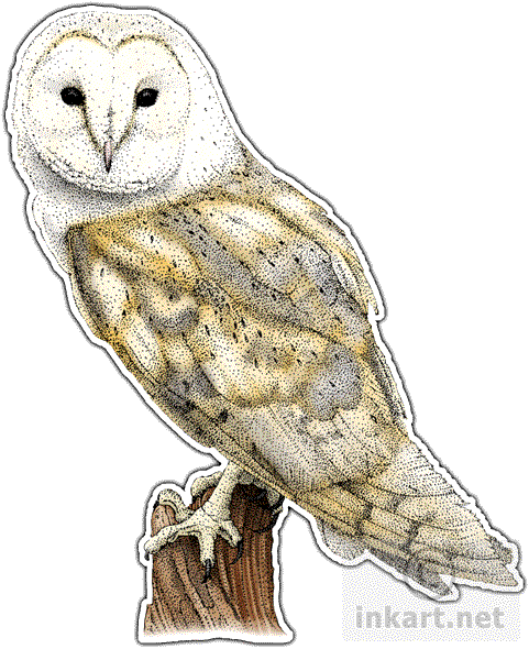 Barn Owl Png File (white, lavender, silver)