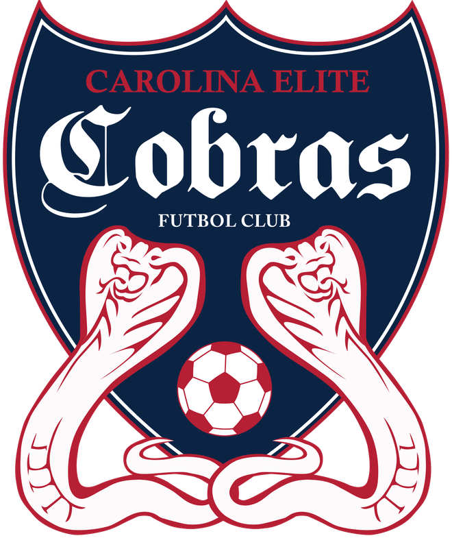 Carolina Cobras Png File (black, navy, white)