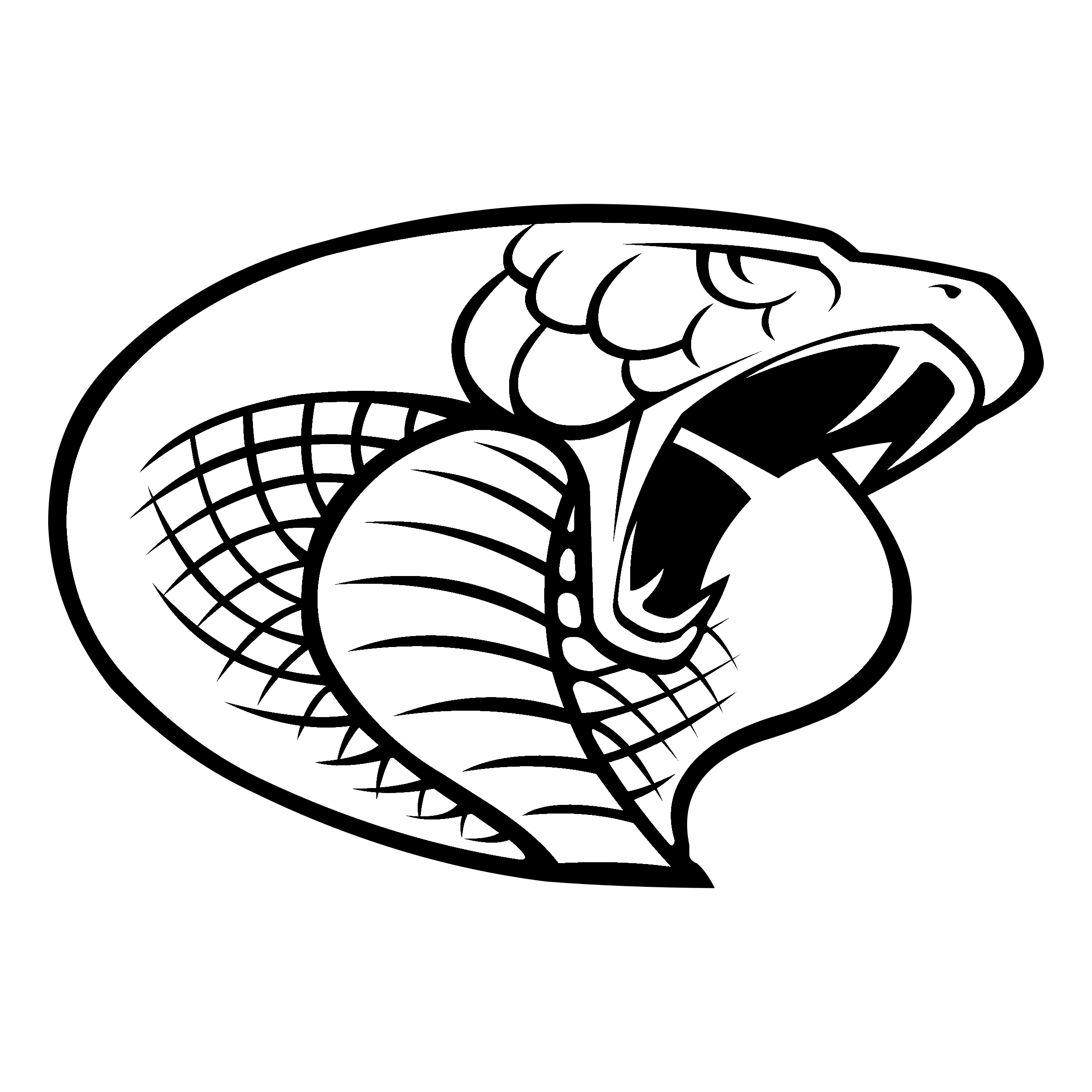 Carolina Cobras Png Pic (black, white, silver)