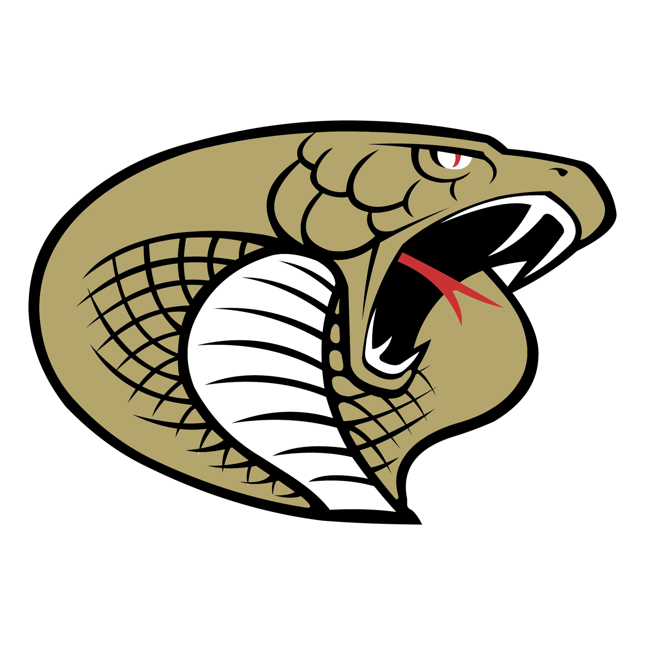 Carolina Cobras Png (black, gray, white)