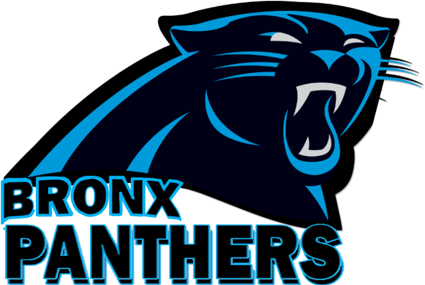 Carolina Panthers Png Image (black)